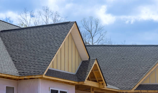 Best Skylight Installation and Repair  in Hargill, TX