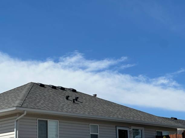 Best Rubber Roofing (EPDM, TPO)  in Hargill, TX